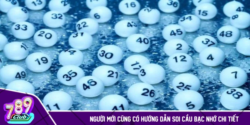 Người mới cũng có hướng dẫn soi cầu bạc nhớ chi tiết